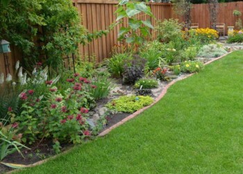Expert landscaping in Exeter by Stone Mark Contractors. Professionally landscaped garden in Exeter by Stone Mark Contractors, combining functionality, design, and natural beauty.