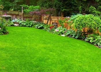 Transform your garden with expert landscaping by Stone Mark Contractors. Expert landscaping services by Stone Mark Contractors in Devon, creating beautiful and functional outdoor spaces.